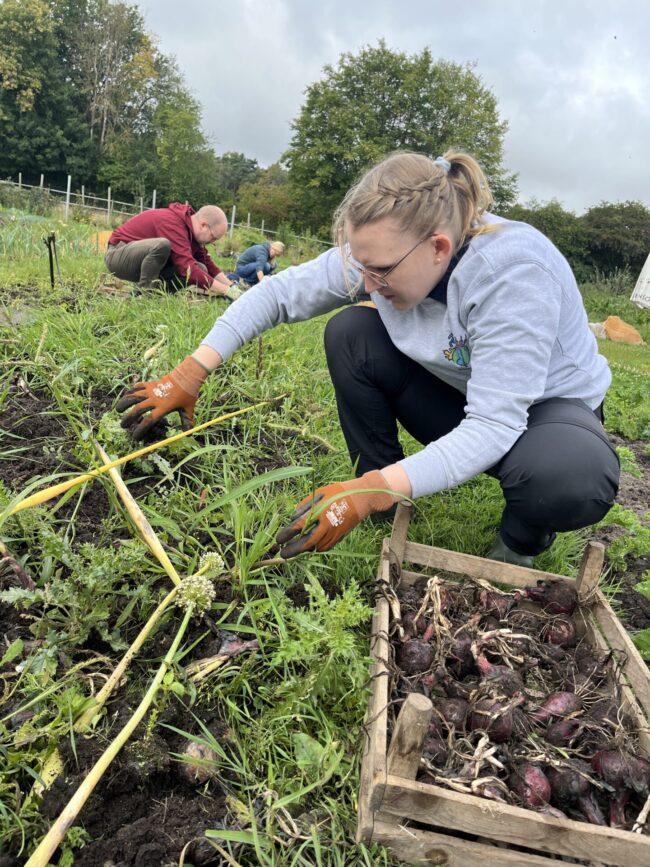 Einsatz auf dem Feld