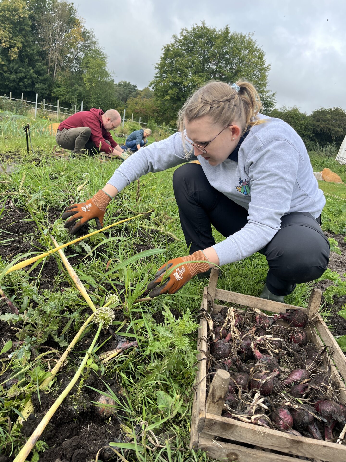 Einsatz auf dem Feld